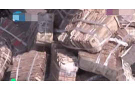 桃源遇到恶意拖欠？专业追讨公司帮您解决烦恼