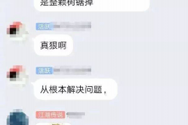 桃源专业催债公司的市场需求和前景分析